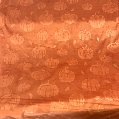 Soft minky halloween - &,