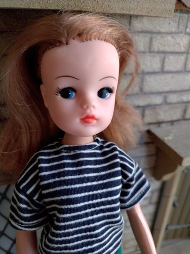 Vintage 1980s pedigree - pedigree, sindy