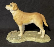 Aynsley Master craft Yellow