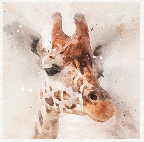 Animal giraffe watercolour - animal-giraffe,