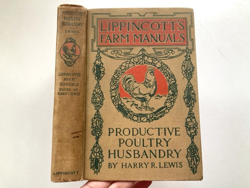Productive poultry husbandry - productive,