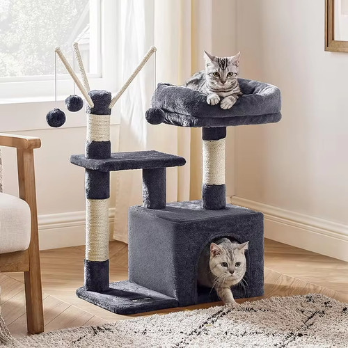 Cat tower climbing - cat,