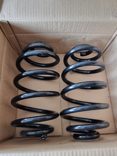 Mapco coil springs - mapco, rear