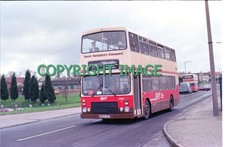 35mm colour neg syt - colour,