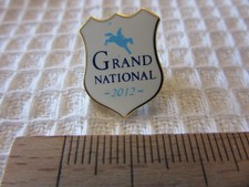 GRAND NATIONAL 2012 horse