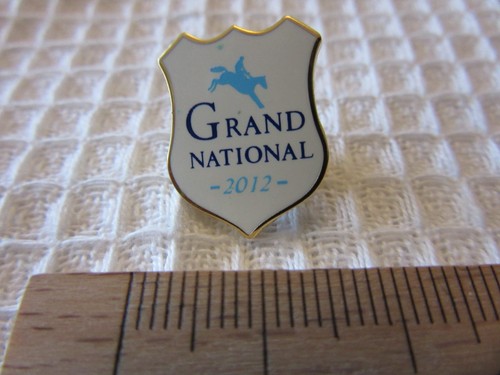 Grand national 2012 - grand,