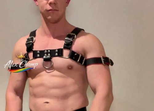Men leather chest - men, harness