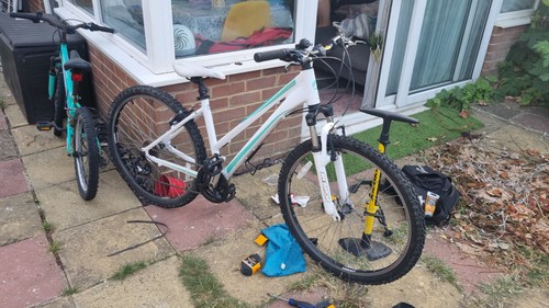 Giant mountain bike - giant, white