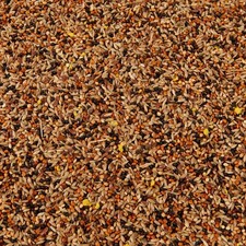 Premium Canary Seed Mix Food