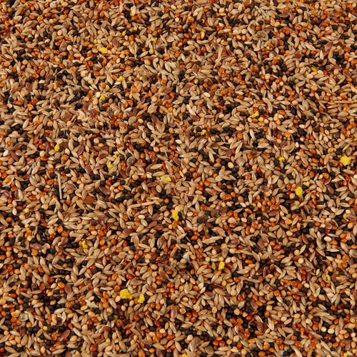 Premium canary seed mix - seed, food