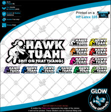 Hawk Tuah Spit On That Thang Meme Rude Funny Car Van Window Sticker Vinyl Decal