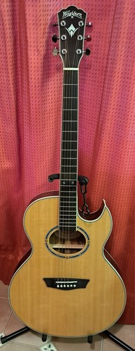 Washburn electro acoustic - washburn,