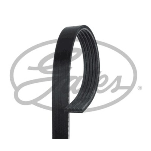 5pk1330 gates ribbed - 5pk1330, belt