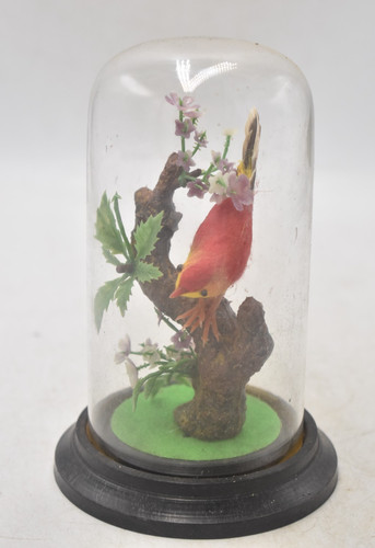 Vintage faux taxidermy felted - faux,