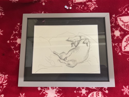Rare edition sketch art - rare,