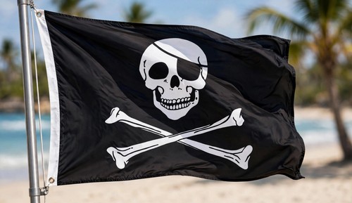 Skull and crossbones pirate - skull,