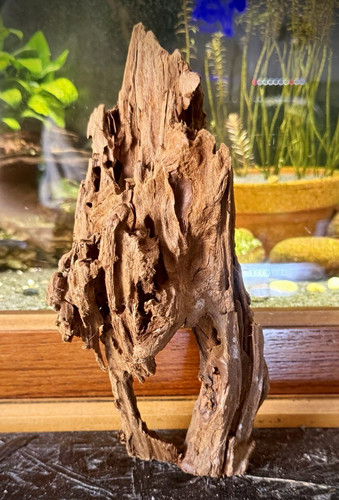 Aquarium driftwood 24cm - aquarium,