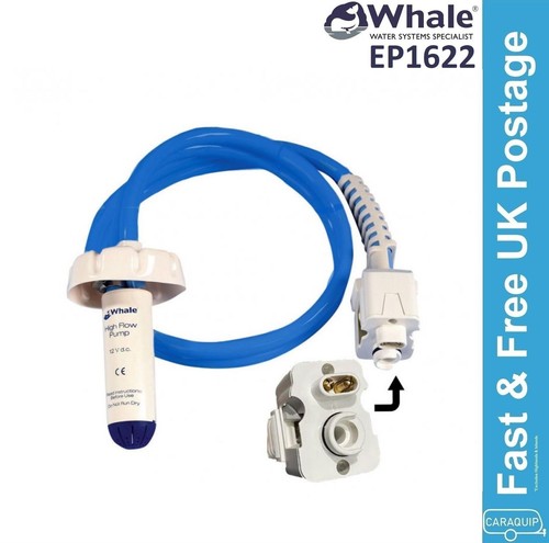 Whale truma caver crystal - whale,