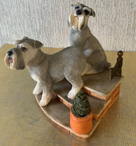 Dogs pair schnauzers - dogs, of