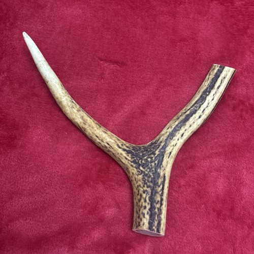 One piece deer - deer, y