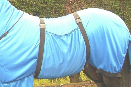 Sweet itch belly cover - itch,