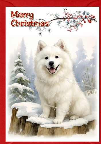 Samoyed dog - dog, 6")