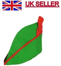 Robin Hood Green Hat Adult Size Cap Red Feather Hook Fairytail Panto Fancy Dress