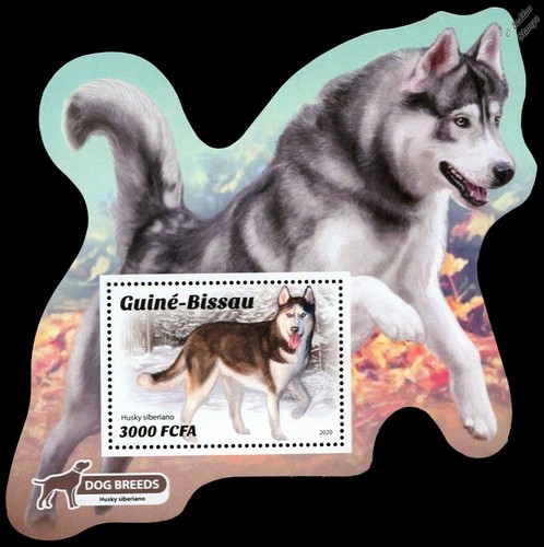 Dogs dog mnh - husky),