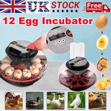 Egg Incubator Hatching Machine