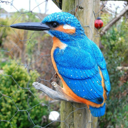 Kingfisher bird large wall - kingfisher,