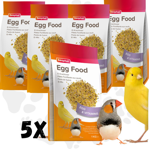 Egg food for - egg,