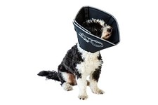 Comfy Cone, Large, 25 cm