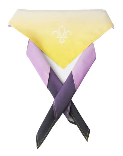 Boy scouts pride non binary - scouts, non-binary