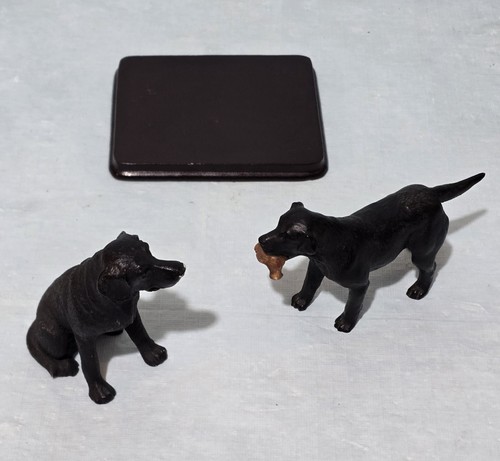 Pair black labrador - pair, dog