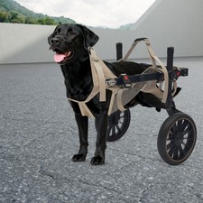 Large Dog Wheelchair, 2 Wheel