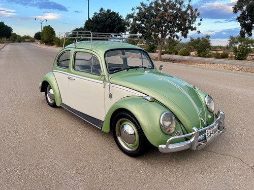 1964 volkswagen beetle - 1964,