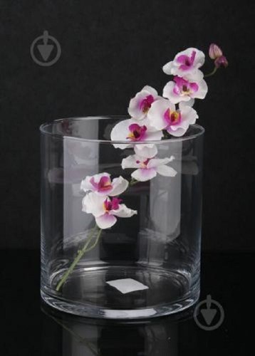 Clear glass cylinder - cylinder, for