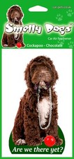 Cockapoo Chocolate and White