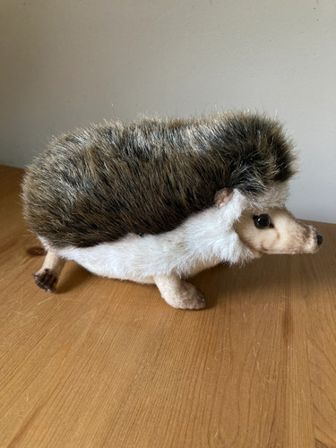 Hansa african pygmy - hansa,