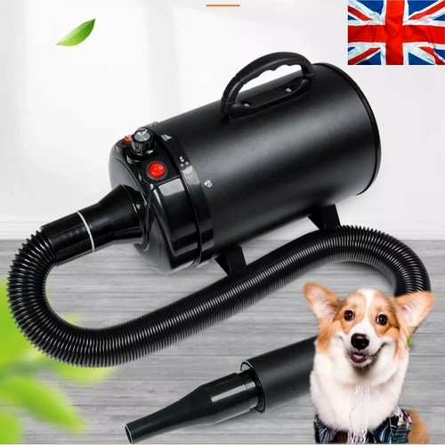 High velocity dog pet dryer - velocity,