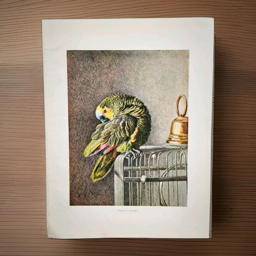 Antique 1920s pet amazon - pet,