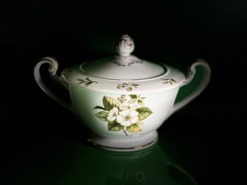 Vintage noritake china dogwood - vintage,