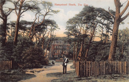 Postcard london hempstead - postcard,