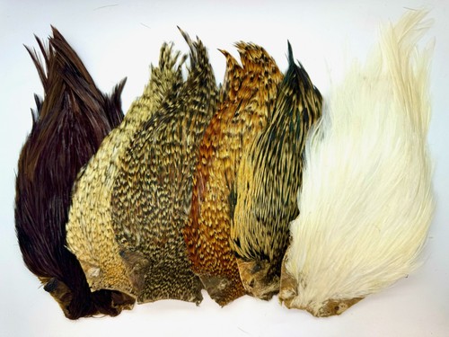 Cock capes natural - cock, in