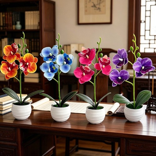 Phalaenopsis orchid potted - phalaenopsis,