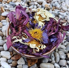 Organic Red/White/Blue Lotus