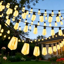 30m 60m LED Festoon Garden
