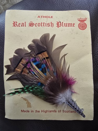 Athole real scottish plume - real,