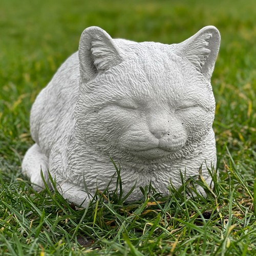 Realistic sleeping cat