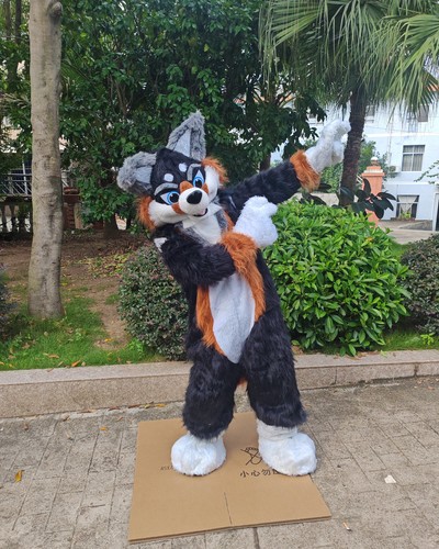 Furry fursuit wolf husky - furry, dog